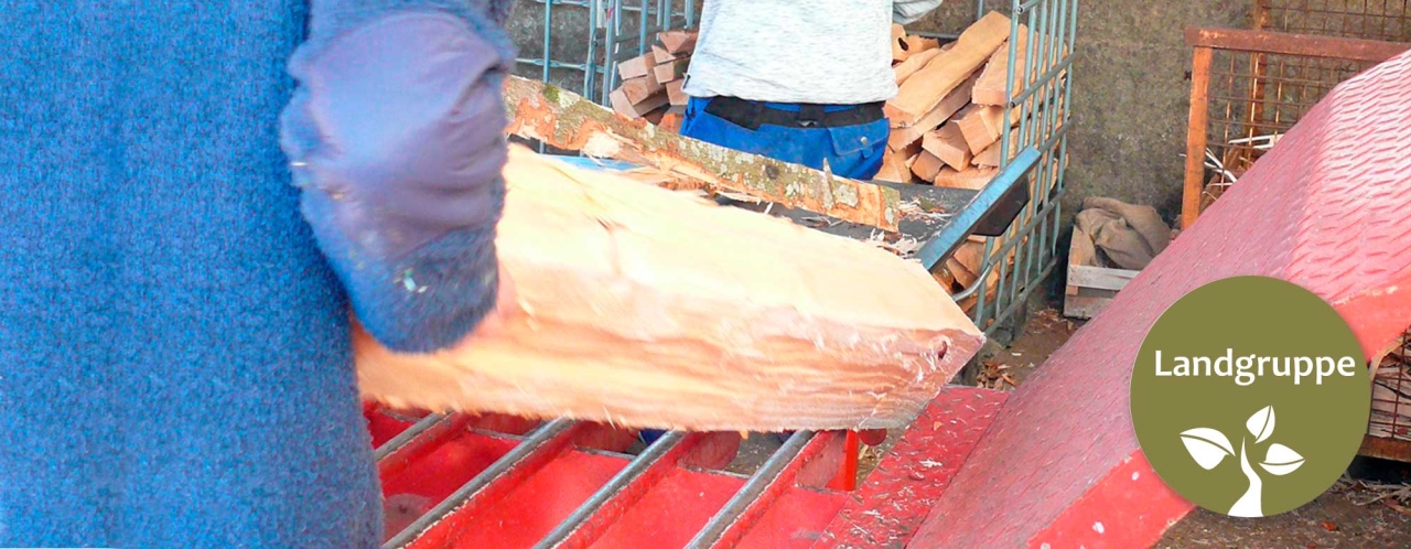 Ein großes Holzstück auf dem Holzspalter