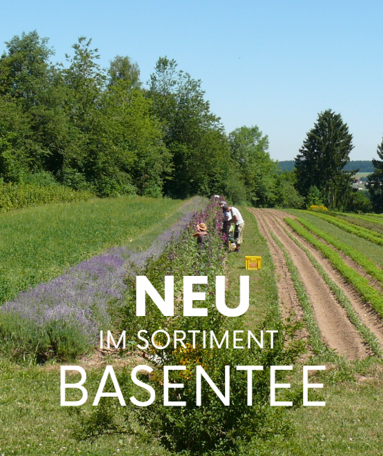 NEU im Sortiment – unser Basentee