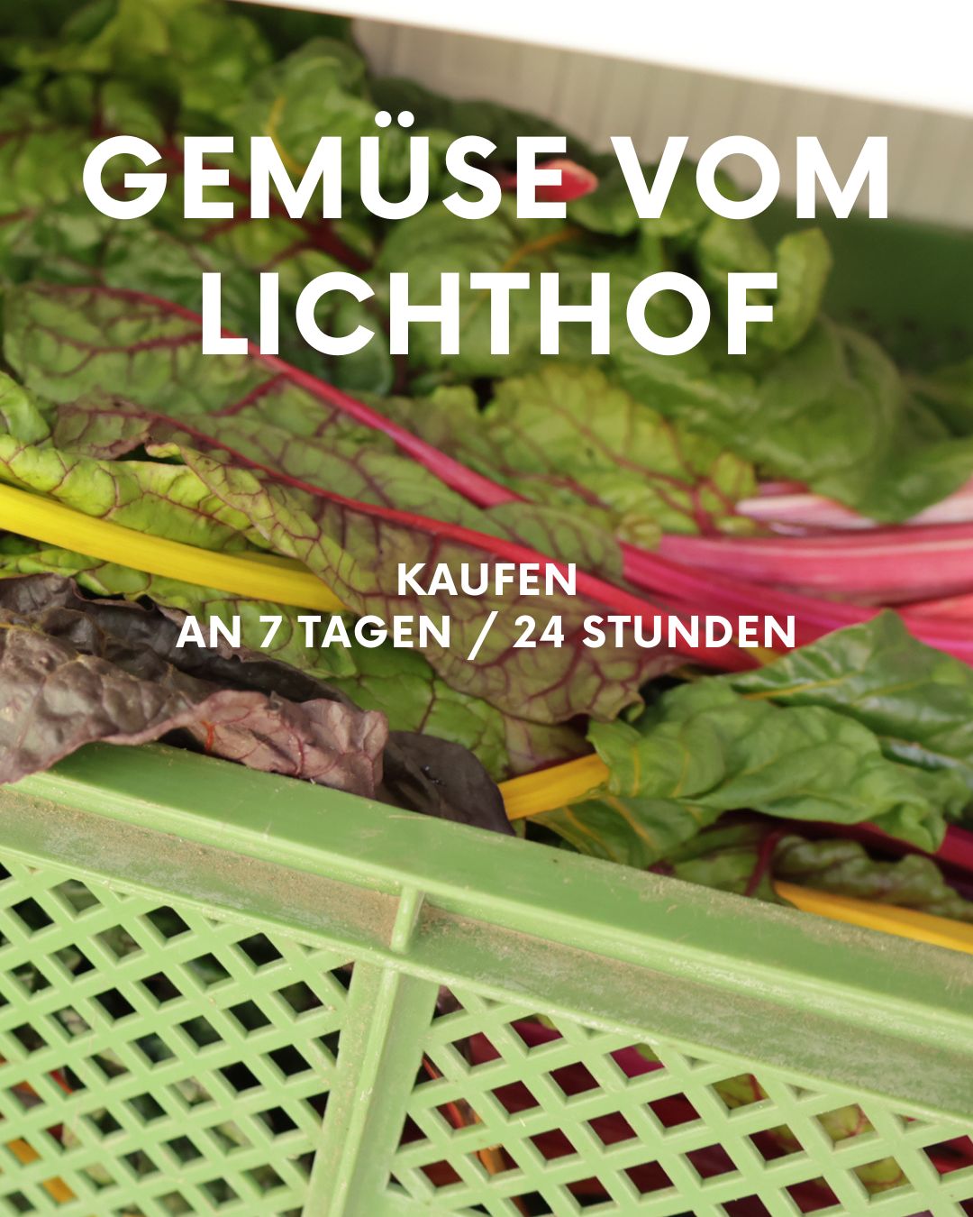 Neuer Kühlschrank mit frischem Gemüse am Lichthof