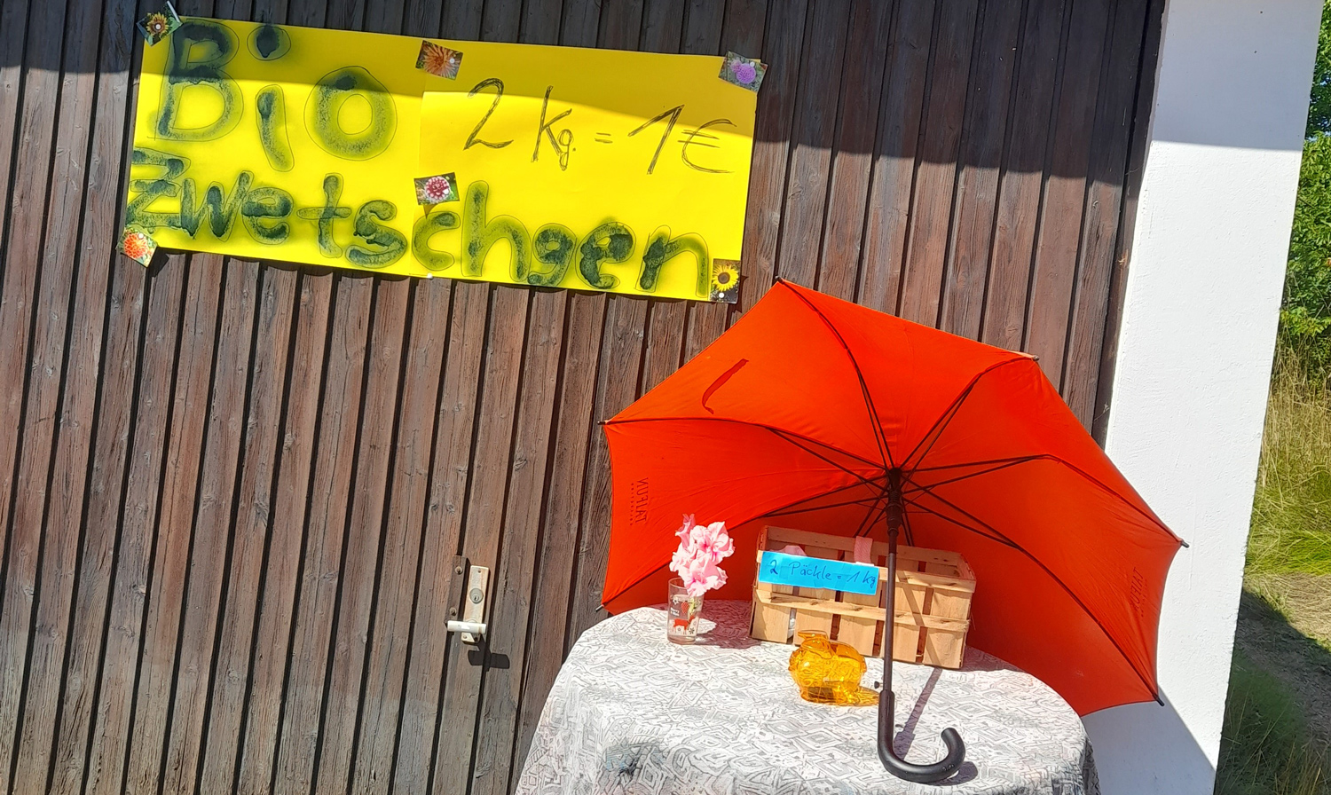 Spendebeispiel Verkauf von Zwetschgen