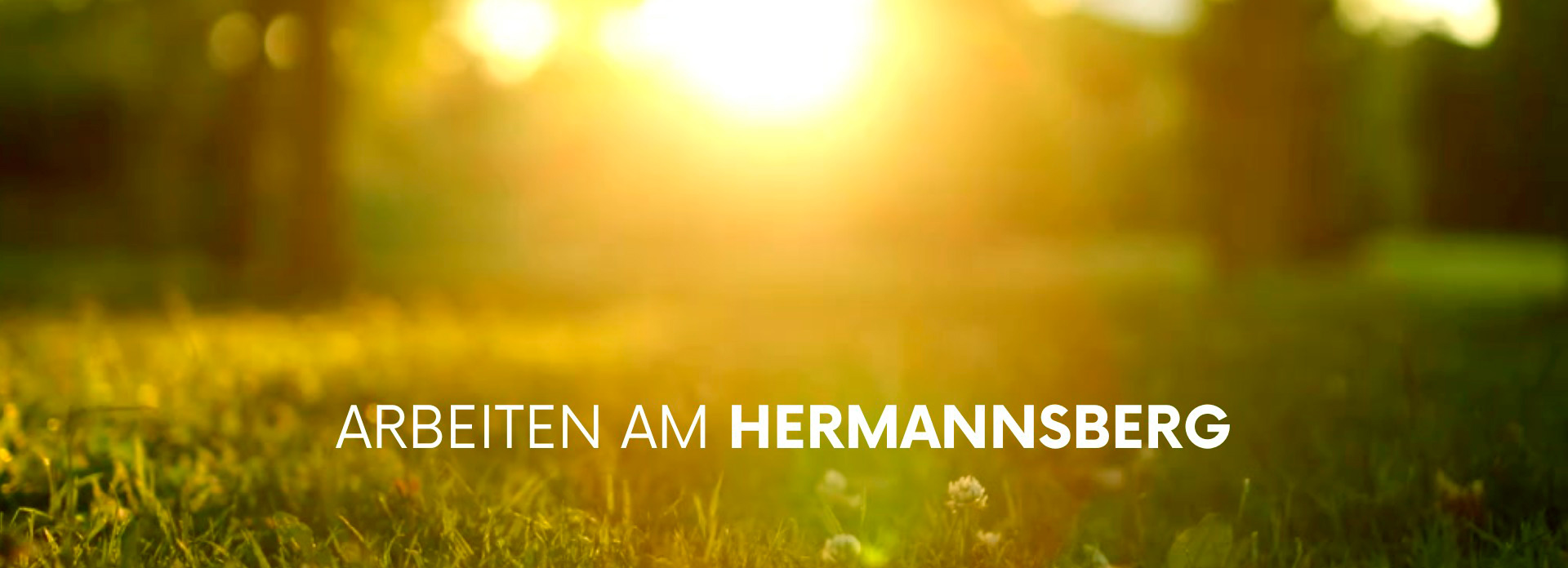 Arbeiten am Hermannsberg Sonnenaufgang Wiese und Wald